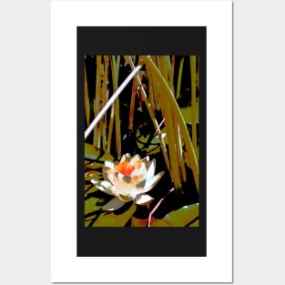 Pond Lily 20 Posters and Art